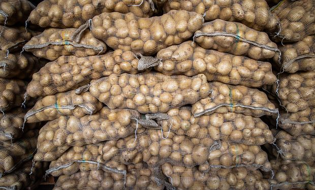 Batata apresentou alta de preços pelo terceiro mês consecutivo. (Foto - CNA)