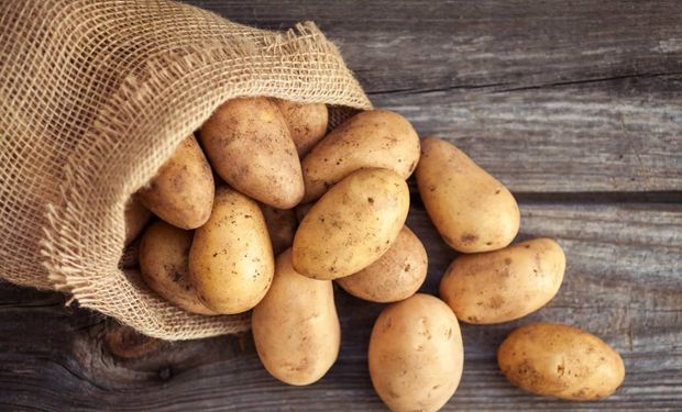 Prévia da inflação sobe 0,20% em novembro, alimentos voltam a pressionar e ligam alerta para o agro