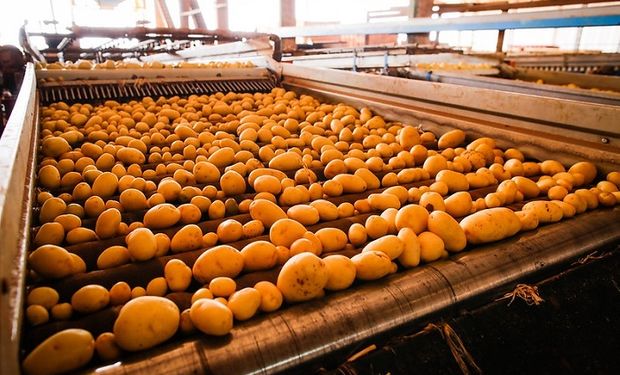 CNA destaca crescimento da produção nacional nos últimos anos. (foto - CNA Brasil)