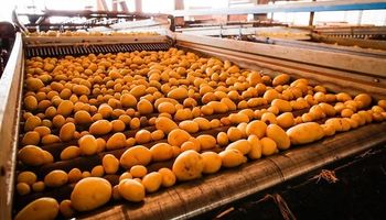 Brasil prorroga por cinco anos antidumping para batata congelada