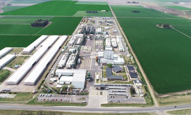 La planta de procesamiento de semillas de maíz más grande del mundo está en Argentina y se abastecerá de energía solar