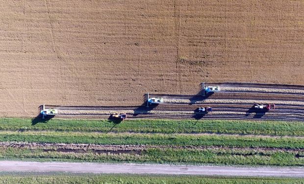 Excluido de los beneficios por la emergencia, ¿qué opciones tiene el agro para enfrentar la coyuntura?