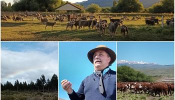 Las estancias de los Benetton, vistas desde adentro: cómo producen carne, lana y madera sobre 356 mil hectareas en la Patagonia