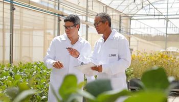 BASF compró una empresa especialista en el control biológico de plagas: logran controlar insectos con virus que ocurren de forma natural