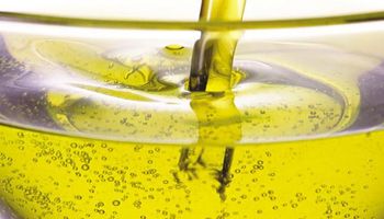 Biocombustibles: estiman volver a exportar 1.500.000 toneladas a la UE