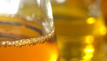 Proyectan un mayor consumo interno de bioetanol y biodiésel