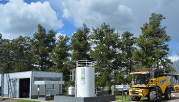 Soja: una alternativa ante el precio de los combustibles