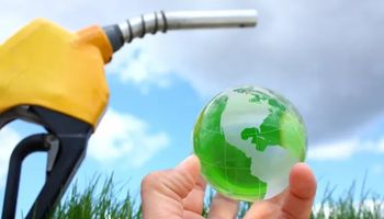 Empresas de óleos vegetais visam investir US$ 10 bi em produção de biocombustível