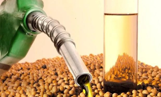 CNPE eleva misturas de biodiesel e etanol a partir de agosto; veja como isso impacta o agro