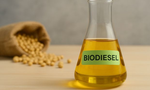 B15 deve elevar demanda por biodiesel no Brasil em 2026, aponta StoneX