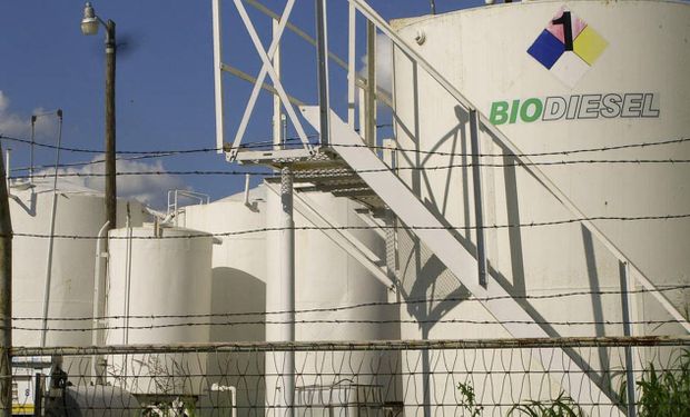 Por qué necesitamos más biocombustibles