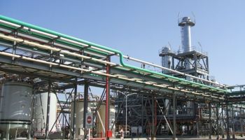 Biodiésel: se perderían US$ 150 millones en exportaciones a Perú