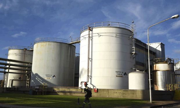 Biodiesel: tras la actualización del Gobierno, pymes piden "urgente" revisión y advierten que peligran 10.000 empleos