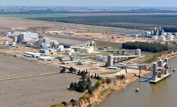 Crecen fuerte la producción y las exportaciones del biocombustible.