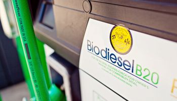 Precios de la soja serían mucho más bajos sin la ayuda de los aceites