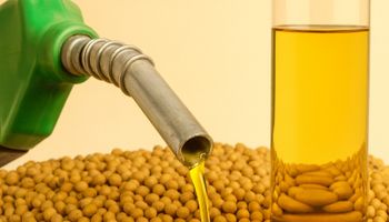 Demanda por biodiesel cresce 8,9% em 2025 e consumo de óleo de soja sobe 10,3%, aponta StoneX