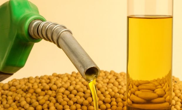 Demanda por biodiesel cresce 8,9% em 2025 e consumo de óleo de soja sobe 10,3%, aponta StoneX