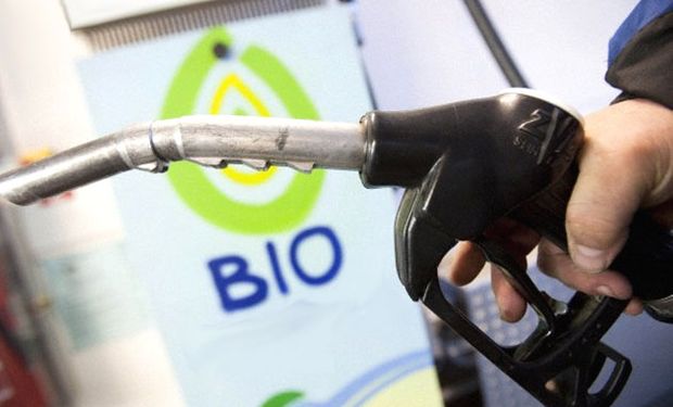 Argentina tendrá el 9 por ciento de la producción total de biodiésel en el mundo, que actualmente es de 30 millones de toneladas.