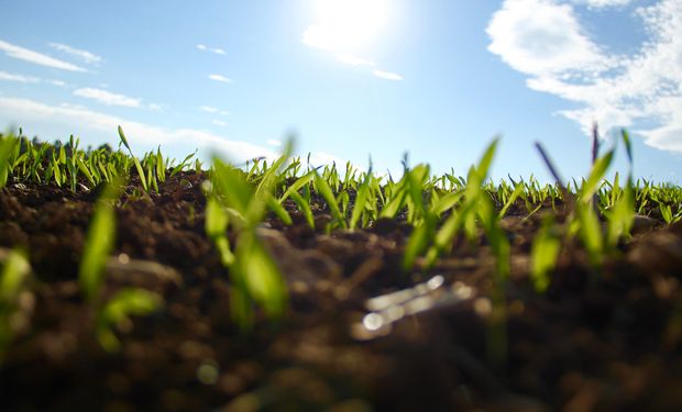 La bioeconomía se emparenta con la economía verde y, también, con la economía circular