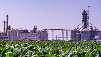 Biocombustibles: el Gobierno fija una nueva fórmula de precio para el bioetanol de maíz