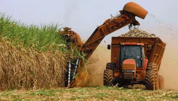 Fijan un nuevo precio para el bioetanol de caña de azúcar