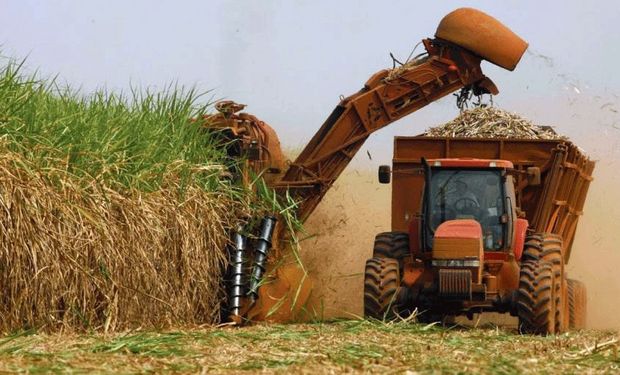 Fijan un nuevo precio para el bioetanol de caña de azúcar