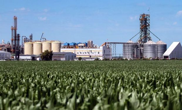 Algo "inentendible" ante la falta de combustible: Argentina mezcla un 12% de bioetanol en la nafta, contra un 27% de Brasil