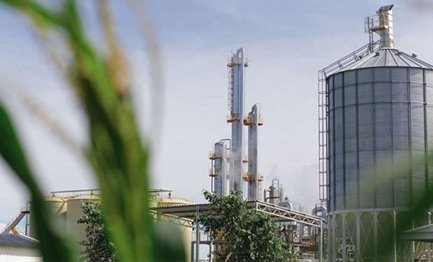Efecto dólar maíz: autorizan un aumento de 15,22% en el precio de adquisición del litro de bioetanol