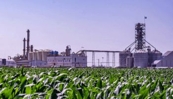 Con maíz: el cambio clave para el agro que demandaría 14 plantas nuevas y generaría más de US$ 3.000 millones en aportes al país