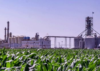 Con maíz: el cambio clave para el agro que demandaría 14 plantas nuevas y generaría más de US$ 3.000 millones en aportes al país