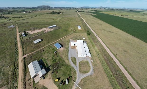 La empresa familiar de Balcarce que invierte US$ 7,6 millones para producir el primer bioinsumo sólido de Sudamérica