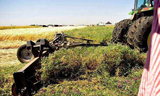 Biofertilidad: claves para entender uno de los desafíos para el campo argentino