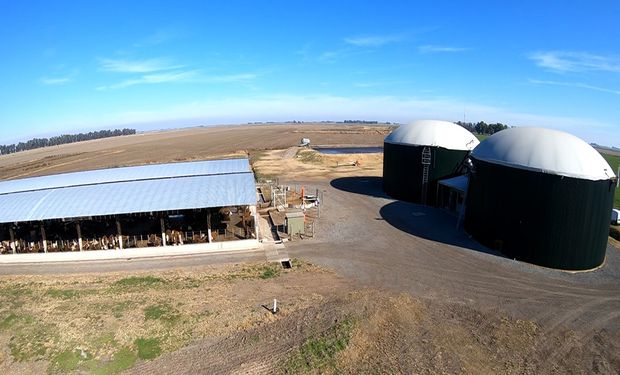 San Lino Agropecuaria: de una mala experiencia a crear un feedlot de primera, que genera energía y fertilizantes con los residuos