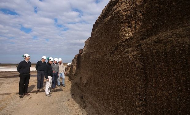 Los emprendedores observan el silo de maíz que se destina a la producción de biogás. Foto: Diego Lima