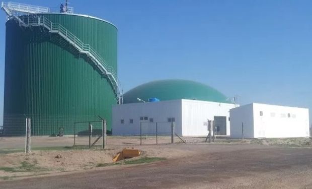 La planta, ubicada en la localidad cordobesa de Río Cuarto, es un desarrollo de la empresa Bioeléctrica.