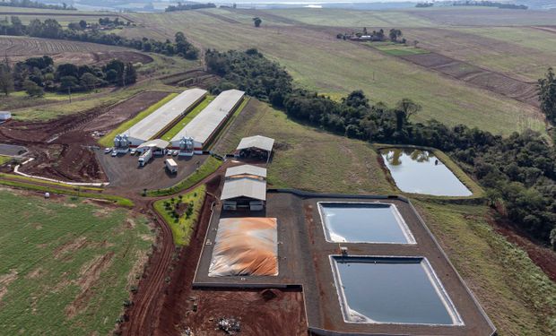 Jovens produtores incluem biogás na gestão do setor