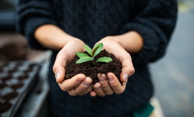 Embrapa Agroenergia desenvolve insumos biológicos renováveis