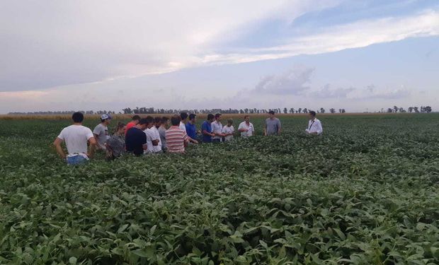 Lanzan una Red para explorar la aplicación de biofertilizantes y bioestimulantes: en Argentina la demanda se cuadruplicó