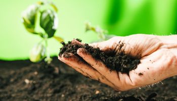 Bioinsumos disparam no Brasil e Mato Grosso vira epicentro da nova agricultura