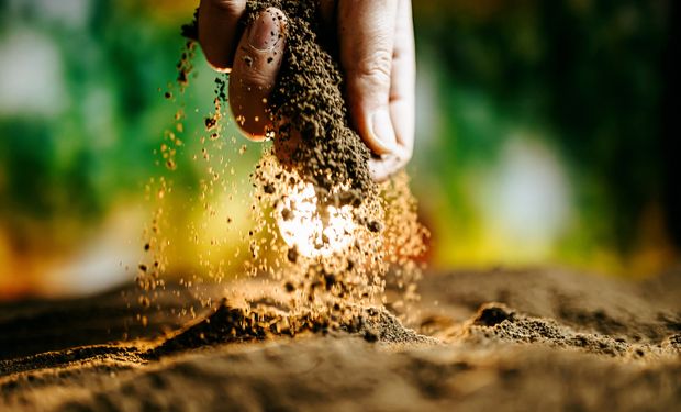 Além da Rota da Biodiversidade, Goiás integra as Rotas da Economia Circular, do Leite, da Moda, da Fruticultura e da Tecnologia, Informação e Comunicação. (foto - Seapa)