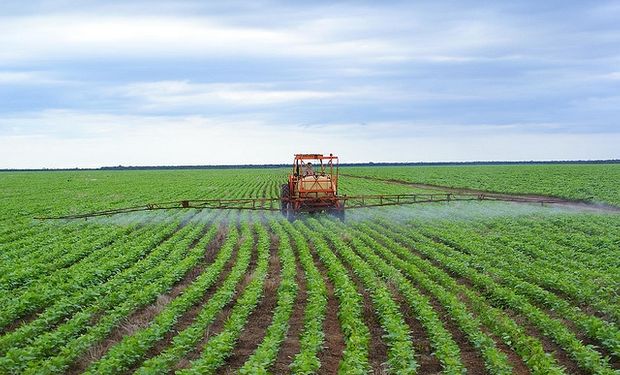 Control de plagas y biotecnología, nuevos mejores amigos