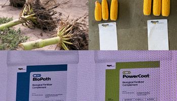Con resultados "sorprendentes", la nueva era de insumos para el agro se presentó en Argentina: suman 5 quintales/ha en maíz, 2 quintales/ha en soja y casi 4 qq/ha en trigo