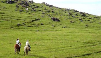 El agro brasileño se ilusiona con el fin de las sanciones a Irán para sumar exportaciones