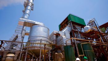 BP Bunge estima aumento de 60% na venda de biomassa de cana-de-açúcar na safra 2024/25