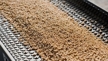 Porotos de soja, tractores y trigo: cómo influyó el campo en el aumento de las exportaciones