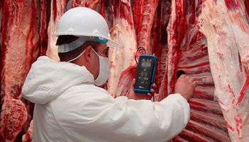 Malas noticias: buscan bloquear compra de carne argentina en Estados Unidos