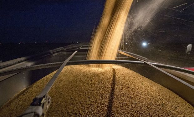 La soja volvió a caer en Chicago. El fuerte avance de la cosecha en Argentina agrega sentimiento negativo a la plaza externa de referencia.