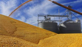 El factor Trump vs México se suma al mercado de Chicago