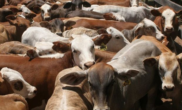 Tras el logro, Brasil apuntará a obtener el estatus de libre sin vacunación a partir del 2023.