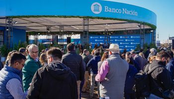 El Banco Nación quiere romper el récord de 10.000 solicitudes de crédito en Agroactiva 2026: Tillard explicó la estrategia "digital" detrás del cierre de sucursales en localidades rurales